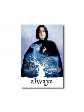 Affiche de Severus Snape